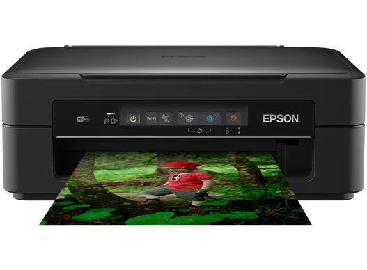 Epson XP-255 printer