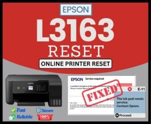 Epson Reset L3163